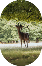 Nature & Wildlife